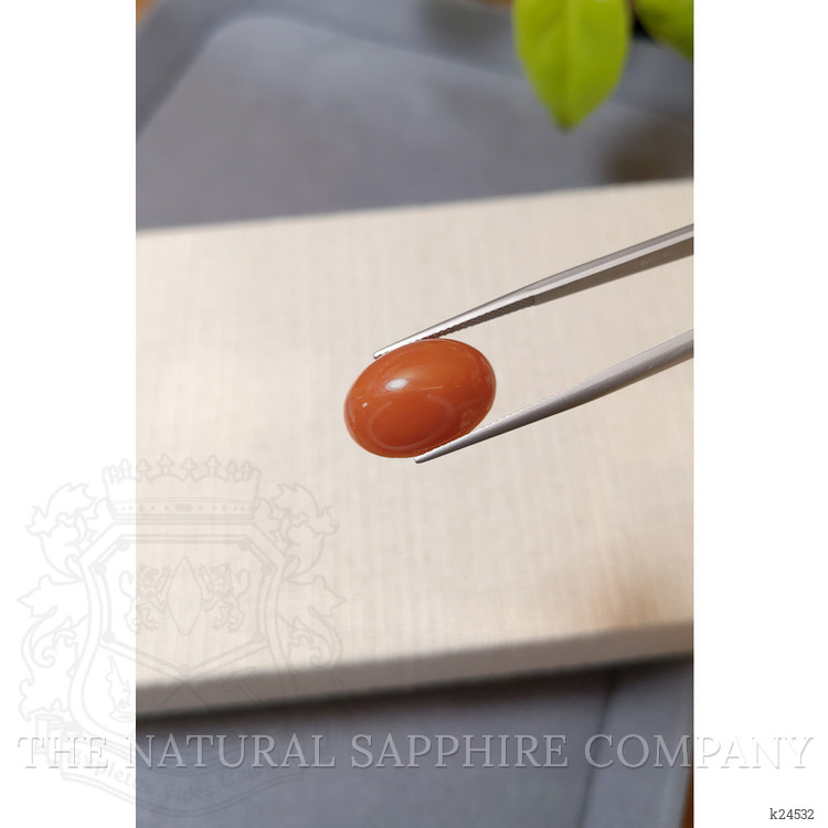10.66 Ct. Salmon (Orange) Cabochon Coral from Mexico
