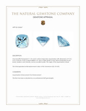 11.33 Ct. Blue Aquamarine from Brazil Appraisal