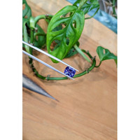 3.42 Ct. Violetish Blue Tanzanite from Tanzania Life Style
