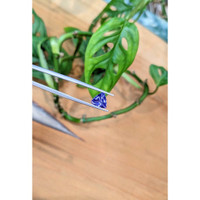 1.72 Ct. Violetish Blue Tanzanite from Tanzania Life Style