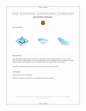 5.35 Ct. Blue Topaz from Brazil Appraisal