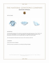 2.93 Ct. Blue Topaz from Brazil Appraisal