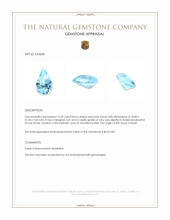 13.39 Ct. Swiss Blue Topaz from Brazil Appraisal