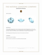 9.70 Ct. Sky Blue Topaz from Brazil Appraisal