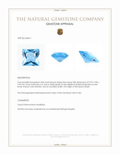 5.08 Ct. Blue Topaz from Brazil Appraisal