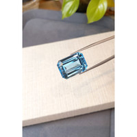 34.25 Ct. Blue Topaz from Brazil Life Style