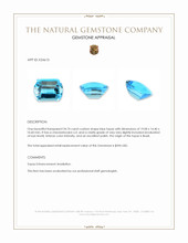 24.74 Ct. Blue Topaz from Brazil Appraisal