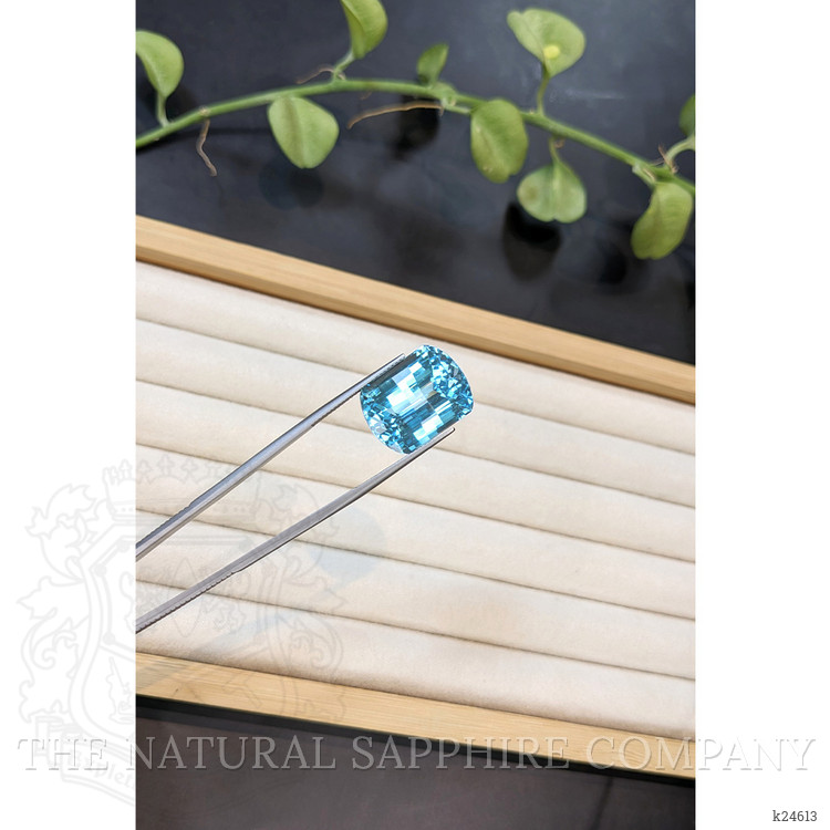 24.74 Ct. Blue Topaz from Brazil