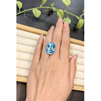 24.74 Ct. Blue Topaz from Brazil Life Style