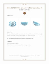 6.83 Ct. Blue Topaz from Brazil Appraisal