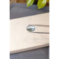 6.83 Ct. Blue Topaz from Brazil Life Style