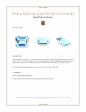 11.73 Ct. Sky Blue Topaz from Brazil Appraisal