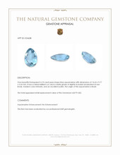 4.10 Ct. Blue Aquamarine from Brazil Appraisal