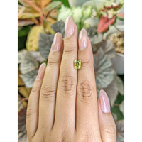 1.54 Ct. Yellowish Green Chrysoberyl from Ceylon (Sri Lanka) Life Style