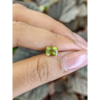 1.54 Ct. Yellowish Green Chrysoberyl from Ceylon (Sri Lanka) Life Style