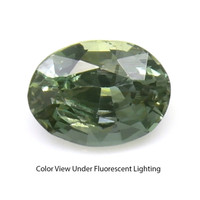 0.48 Ct. Alexandrite from Ceylon (Sri Lanka) Video