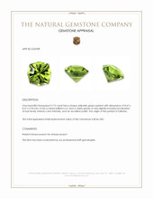 2.73 Ct. Yellowish Green Peridot from Pakistan Appraisal