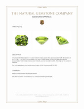 2.71 Ct. Green (Lime Green) Peridot from Pakistan Appraisal
