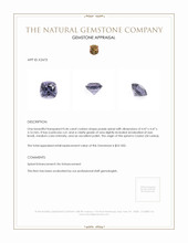 0.46 Ct. Spinel from Ceylon (Sri Lanka) Appraisal