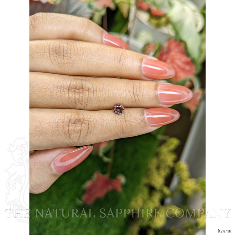 0.66 Ct. Brown Zircon from Ceylon (Sri Lanka)