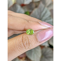1.04 Ct. Yellowish Green Peridot from Madagascar Life Style