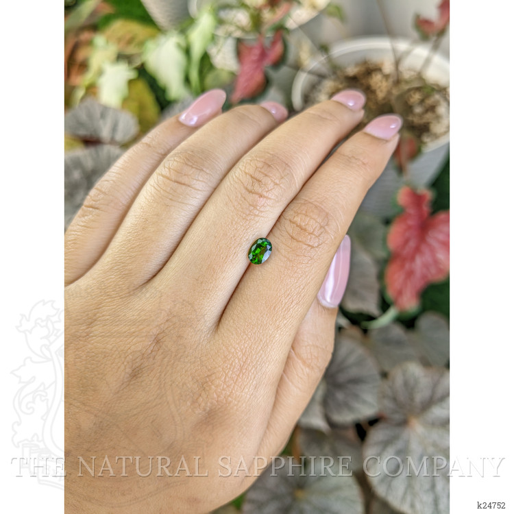 0.66 Ct. Chrome Diopside from Brazil