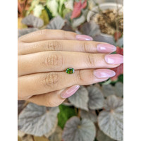 0.66 Ct. Chrome Diopside from Brazil Life Style