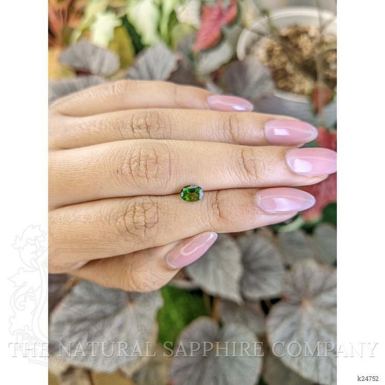 0.66 Ct. Chrome Diopside from Brazil