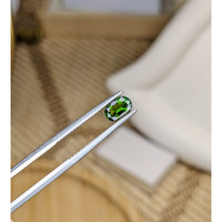 0.66 Ct. Chrome Diopside from Brazil Life Style