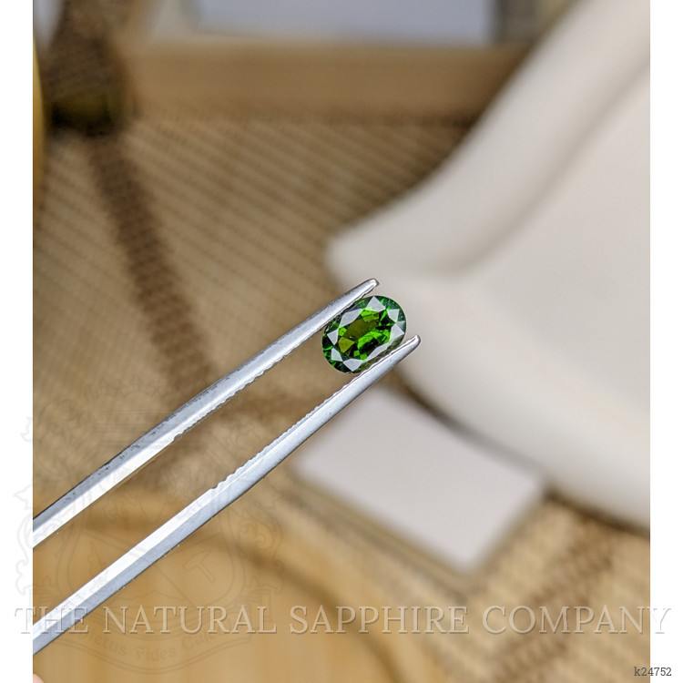 0.66 Ct. Chrome Diopside from Brazil