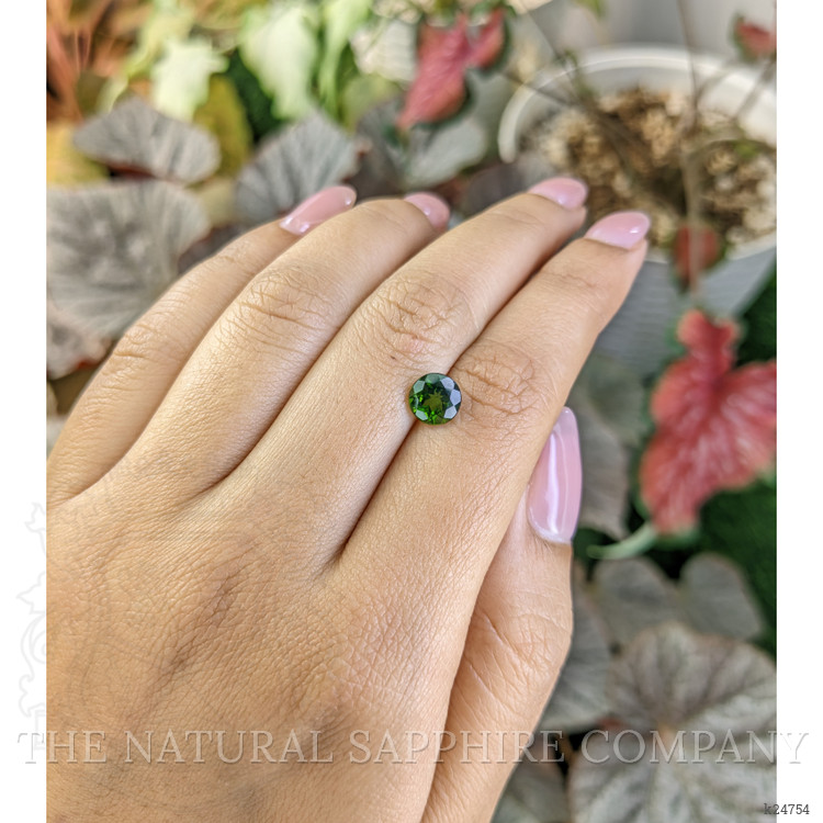 1.58 Ct. Chrome Diopside from Brazil