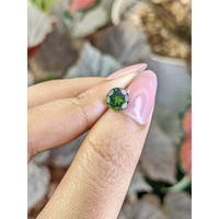 1.63 Ct. Chrome Diopside from Brazil Life Style