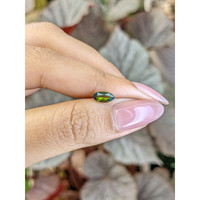 0.67 Ct. Green Tourmaline from Ceylon (Sri Lanka) Life Style