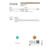 Jewelry Scan Report
