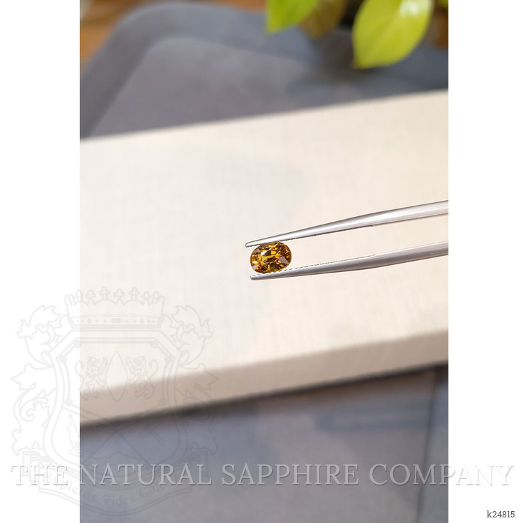 1.25 Ct. Orangish Brown Malaya Garnet from Tanzania