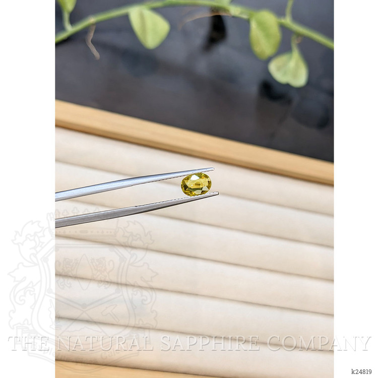 1.19 Ct. Orangish Brown Malaya Garnet from Tanzania