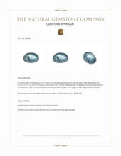 9.52 Ct. Cabochon Aquamarine from Brazil Appraisal