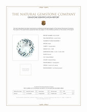 Jewelry Scan Report