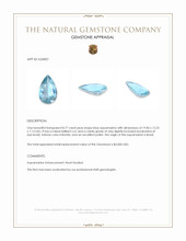 8.77 Ct. Greenish Blue Aquamarine from Brazil Appraisal