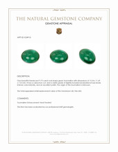 9.73 Ct. Green Cabochon Tourmaline Appraisal