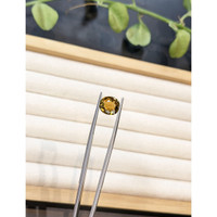 3.36 Ct. Greenish Brown Tourmaline from Brazil Life Style