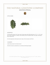 4.96 Ct. Green Jade from Burma (Myanmar) Appraisal