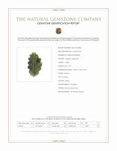 4.71 Ct. Green Jade from Burma (Myanmar) Scan Report