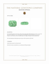 6.02 Ct. Green Jade from Burma (Myanmar) Appraisal
