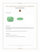6.02 Ct. Green Jade from Burma (Myanmar) Appraisal