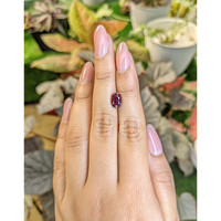 2.14 Ct. Pinkish Purple Rhodolite Garnet from Ceylon (Sri Lanka) Life Style