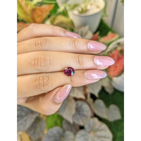 2.10 Ct. Reddish Purple Rhodolite Garnet from Ceylon (Sri Lanka) Life Style