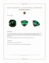 4.43 Ct. Green Tourmaline from Mozambique Appraisal