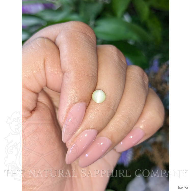 1.17 Ct. Yellowish Green Cabochon Chrysoberyl from Ceylon (Sri Lanka)