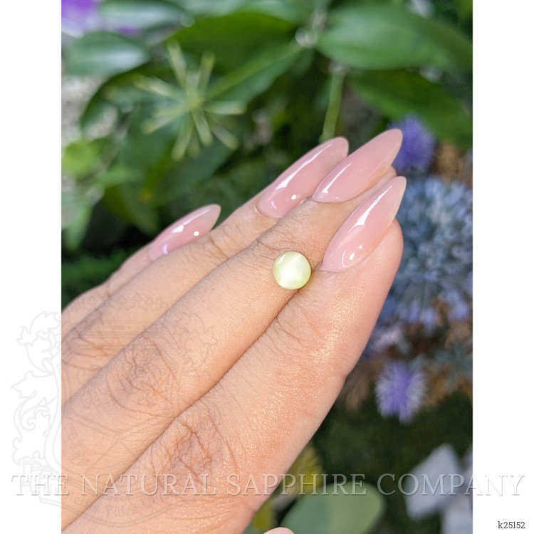 1.17 Ct. Yellowish Green Cabochon Chrysoberyl from Ceylon (Sri Lanka)